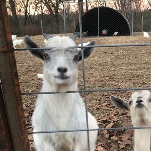 Meet your Posher, April